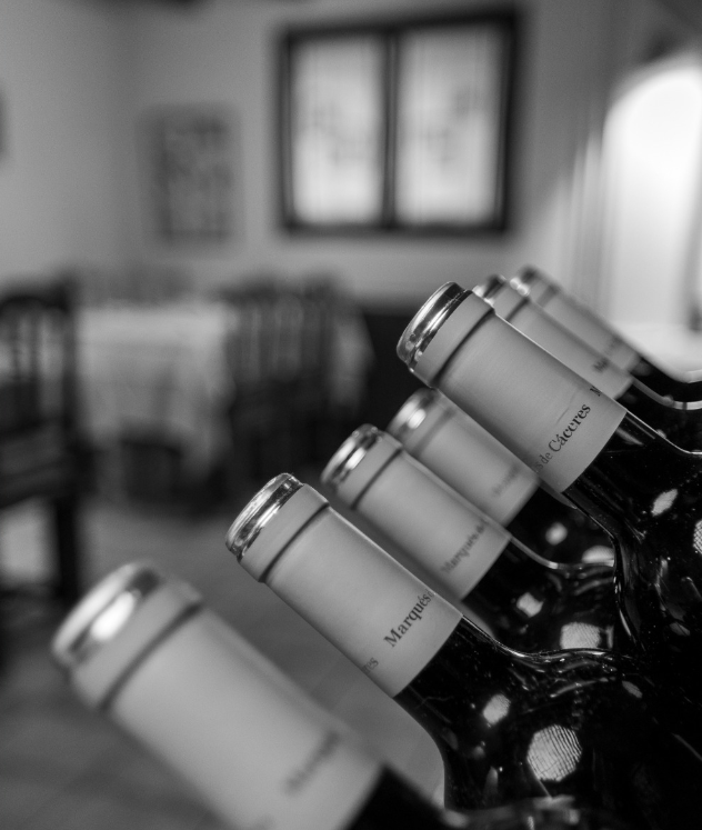 La nostra carta de vins ha estat seleccionada amb cura perquè combinin a la perfecció amb cadascun dels nostres plats.